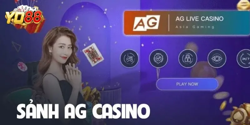 AG Trực Tiếp – Đỉnh Cao Của Đánh Bạc Trực Tuyến Tại Yo88